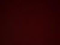 I am a nice and friendly blonde can fulfill all your wishes, do not hesitate to ask!