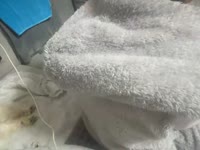 Jsem crossdresser, jsem stále nadržený, miluji všechno kromě jedné věci, je to těžké S/m