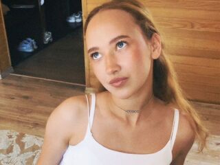 adult webcam chatroom VeniceMidden